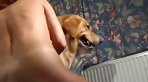 888brl.com e confiável - animal-fuck,kinky