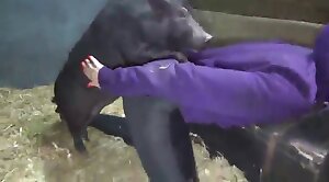 bzbet9 - wonderful,bestiality-stories