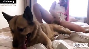 incredible,beastiality