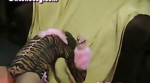 bzbet9 - wonderful,beastiality