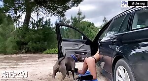 animal-porn,sex-movie