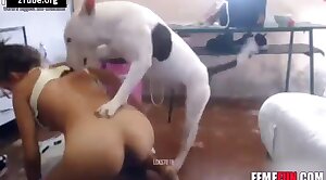 999kko.vip - dog-xxx,sex-movie